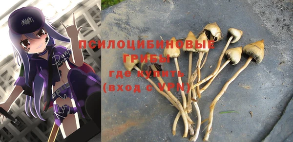 mix Магас
