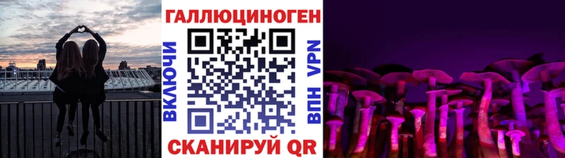 Псилоцибиновые грибы GOLDEN TEACHER  MEGA tor  Магас 